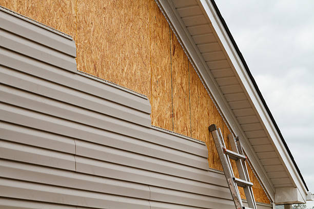 Professional Siding Repair technician working in Hardyville, VA